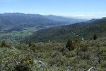 Takaka walk (26)_600x400